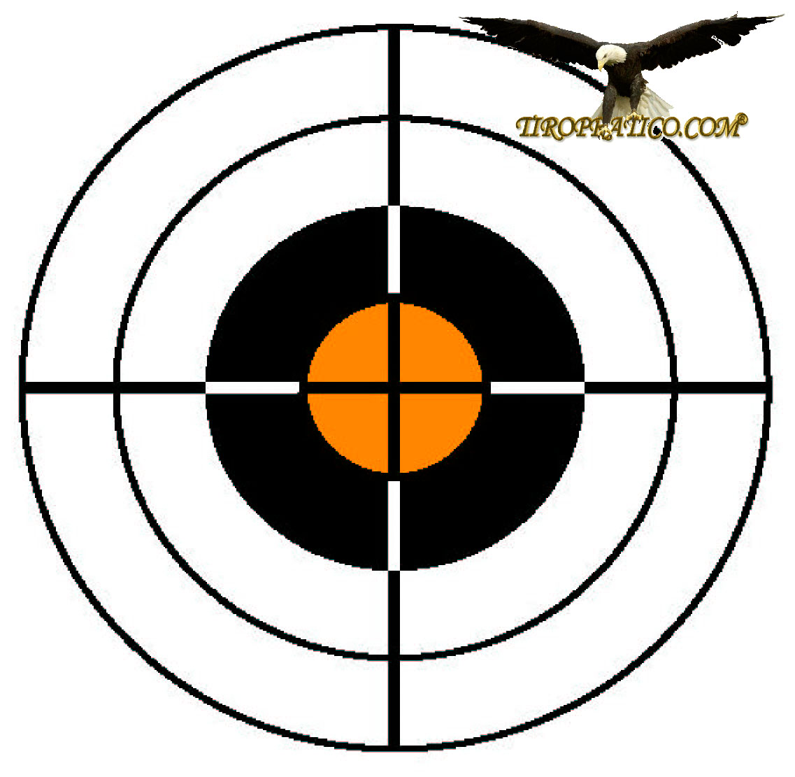 bersaglio di prova (2).jpg